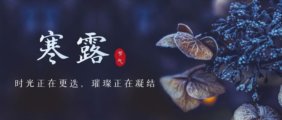 寒露 ▎時(shí)光更迭，璀璨正在凝結(jié)~