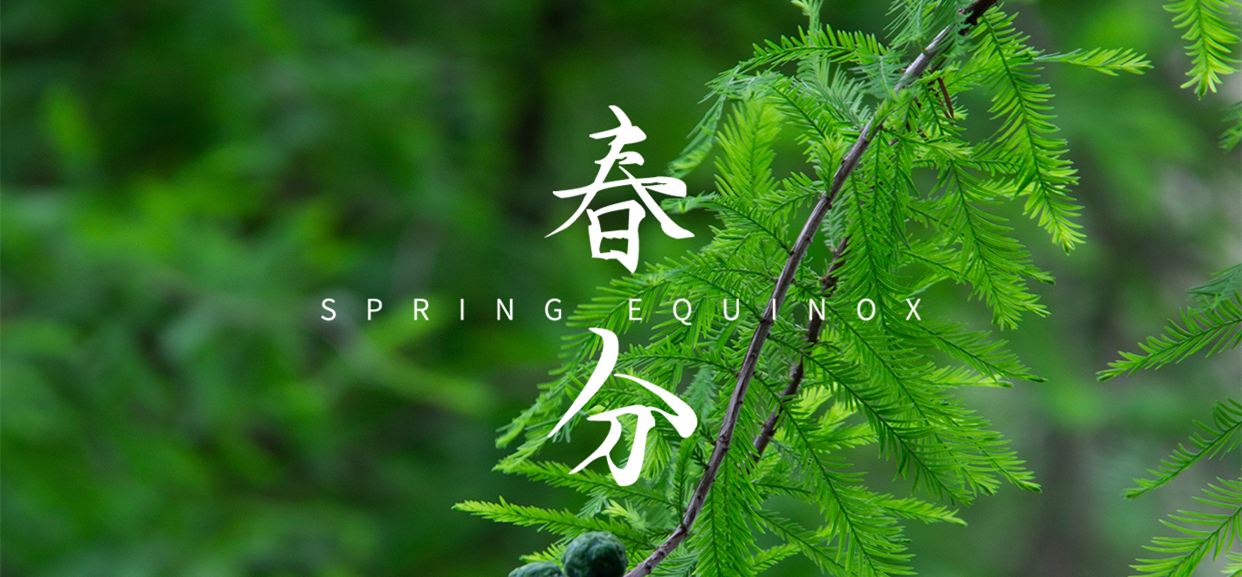春分 ▎不負春光，萬物生長