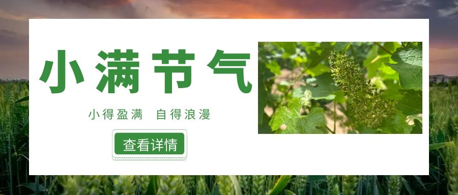小滿 ▎小得盈滿，自得浪漫~