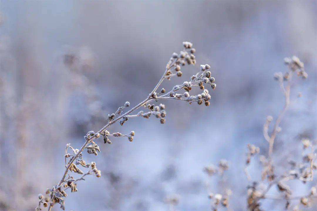 小雪 ▎冬藏萬(wàn)物，歲月沉香