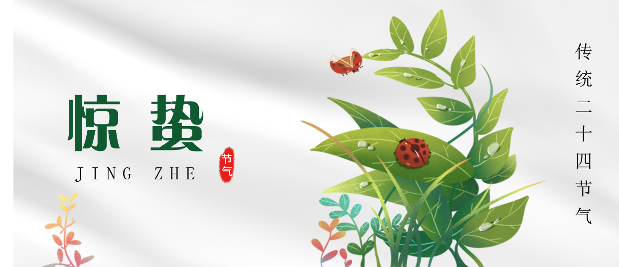 驚蟄 ▎雷鳴春醒，萬物生長