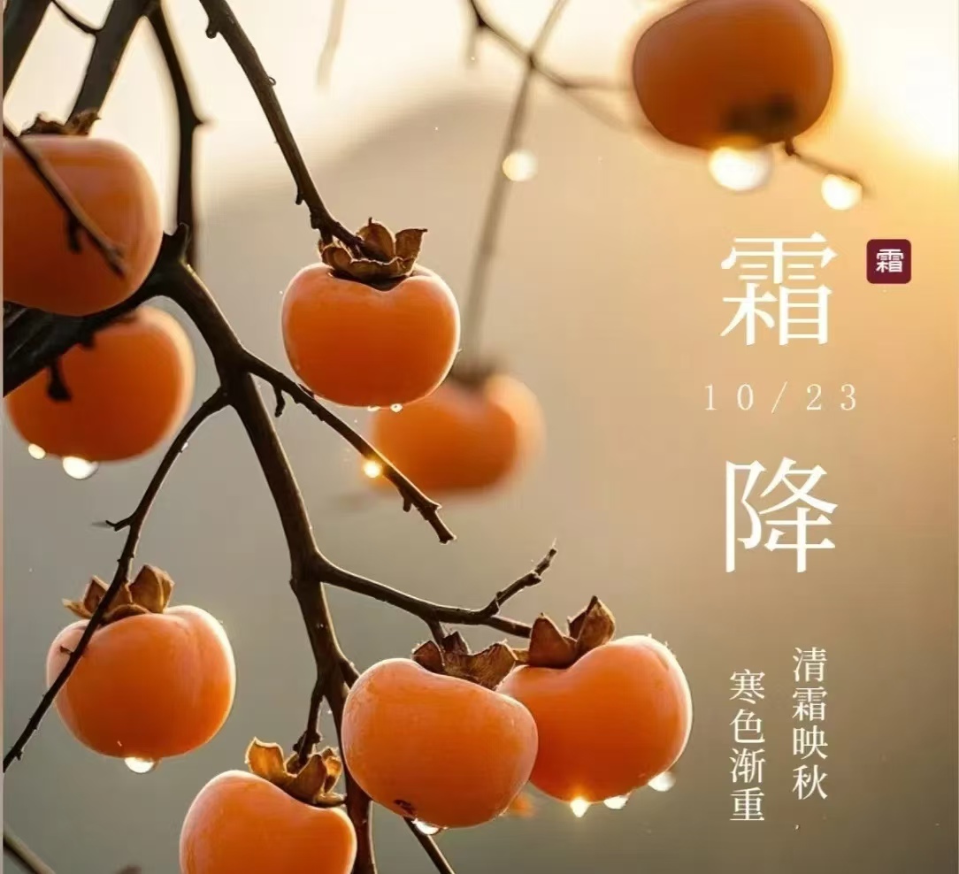 霜降||人間至此秋色盡，草木搖落露為霜